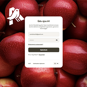 Auchan bejelentkező felület