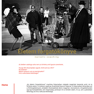 NarrativeCoaching projekt
